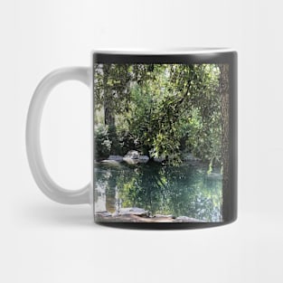 Nature Sticker Mug